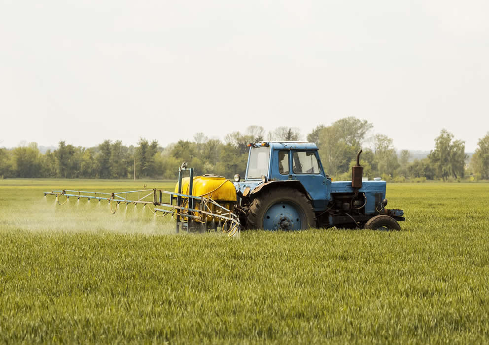 Freeze Concern Hits Your Wheat Farms