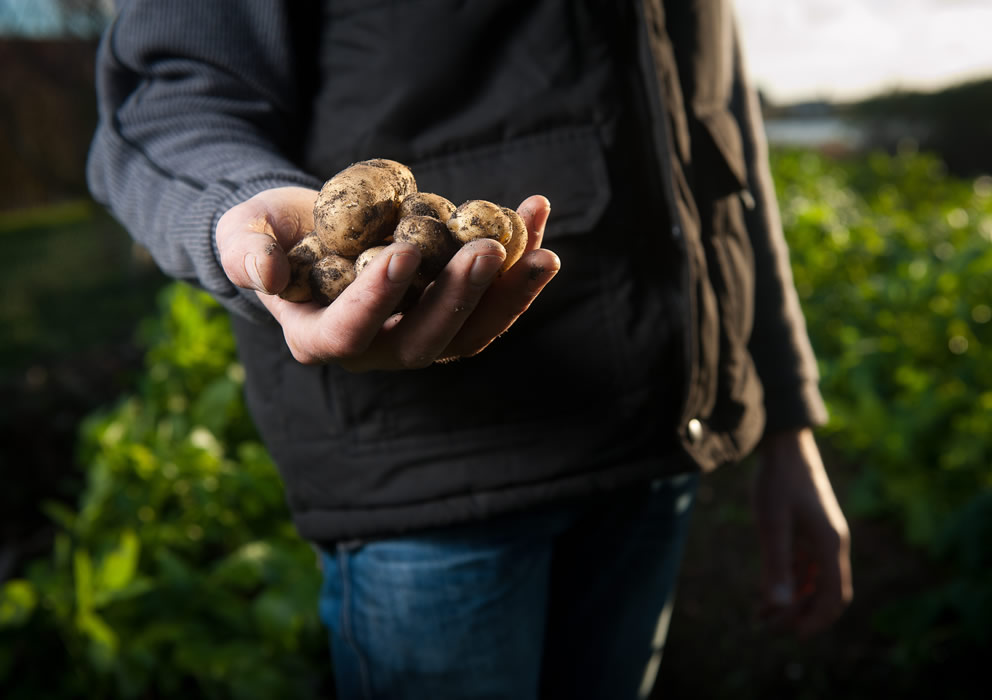 Farmer Sentiment Darkens Hopes Fade